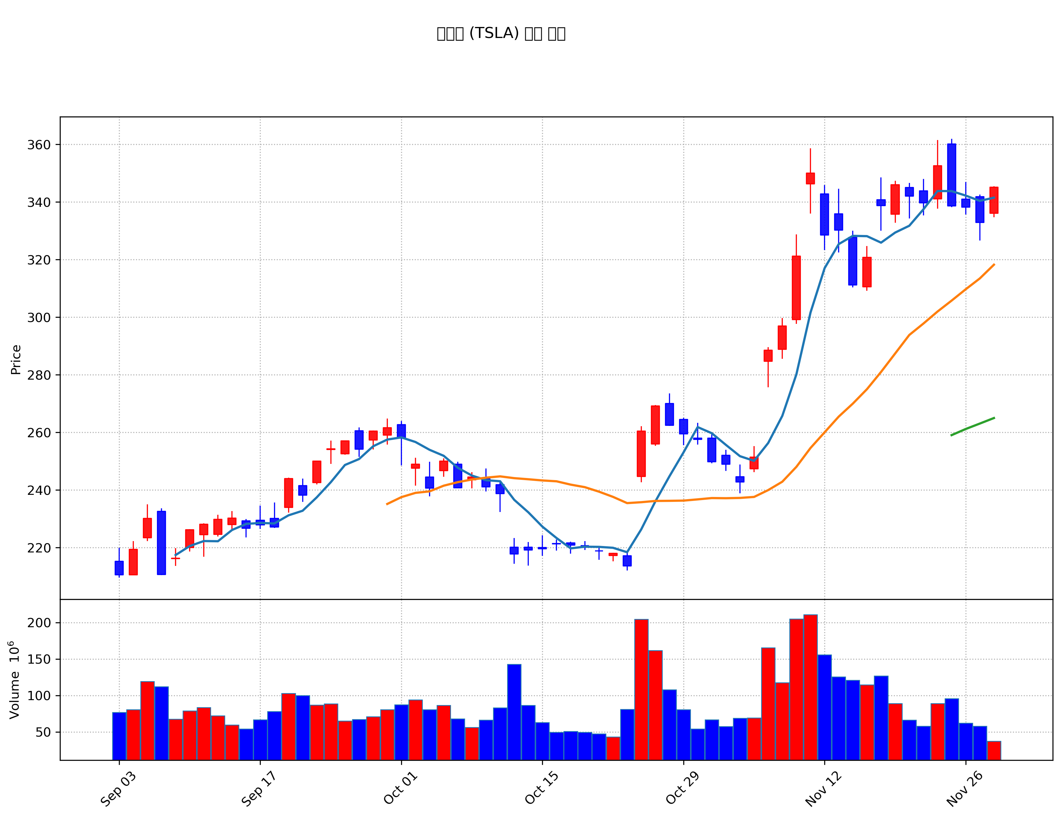 테슬라 (TSLA) 주가 차트